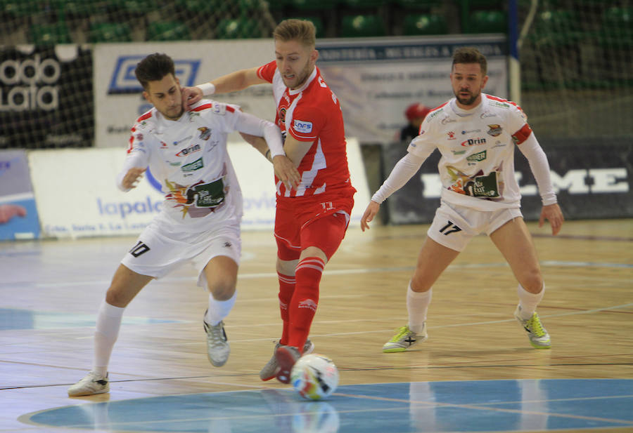 Fotos: Naturpellet Segovia - Jimbee Cartagena