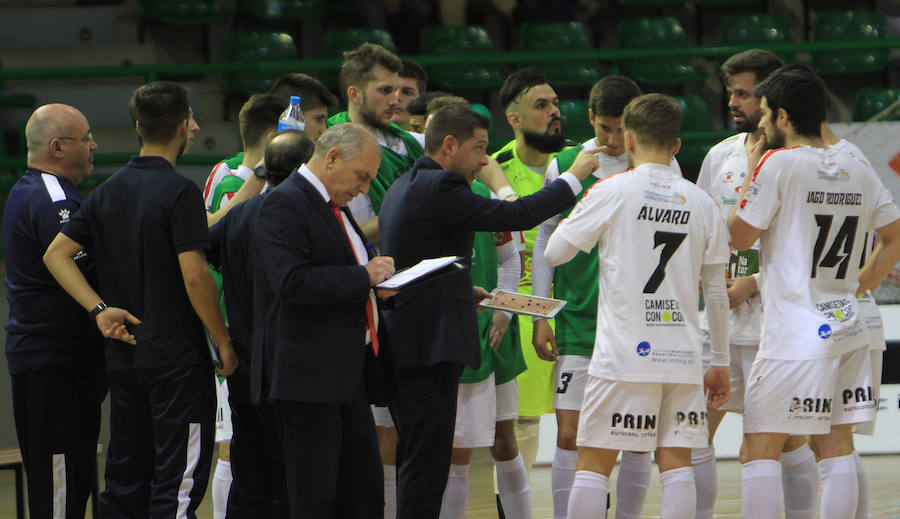 Fotos: Naturpellet Segovia - Jimbee Cartagena