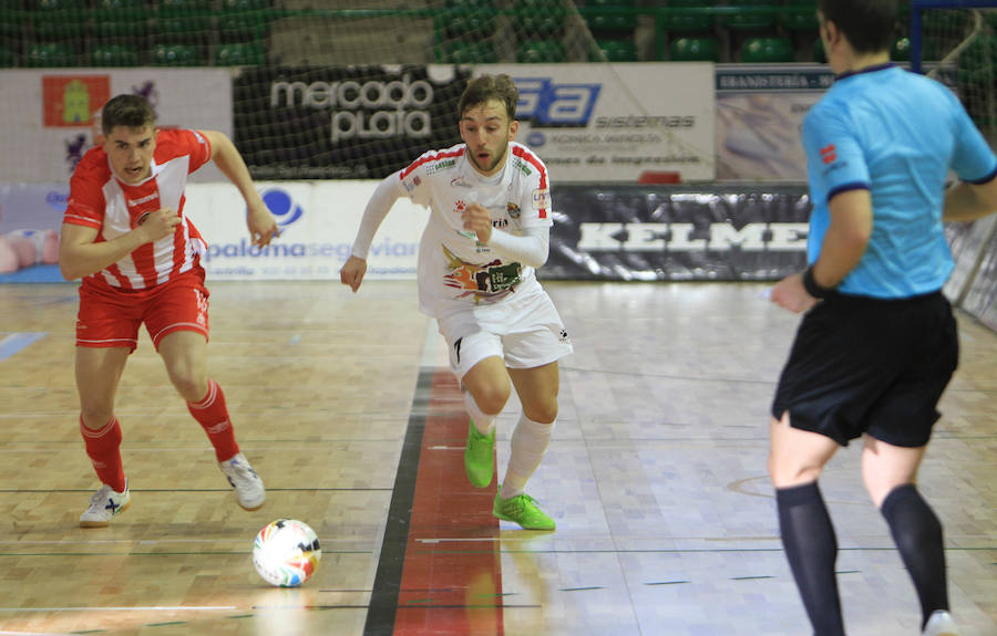 Fotos: Naturpellet Segovia - Jimbee Cartagena