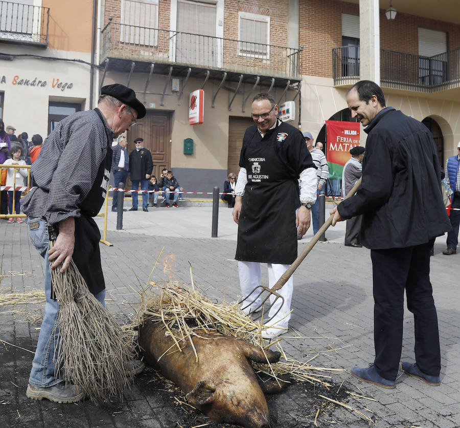 Fotos: Villada celebra su tradicional matanza