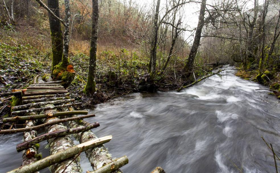 Tejeira. El río Tejeira fluye hacia el Burbia.