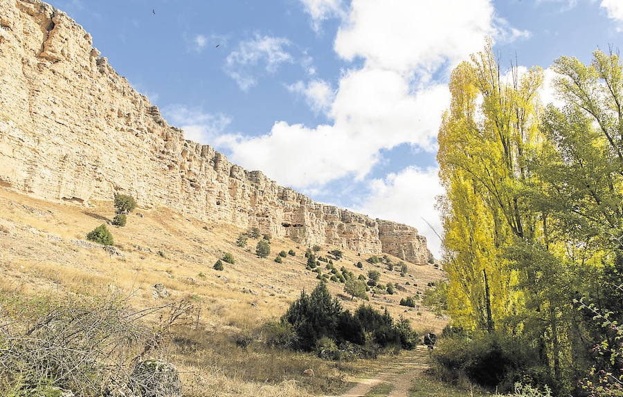 Vista, desde la senda del río, de los farallones rocosos del valle del Riaza.