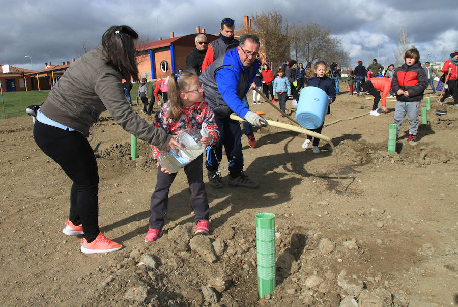 Alumnos del colegio Elena Fortún se disponen a plantar los árboles.