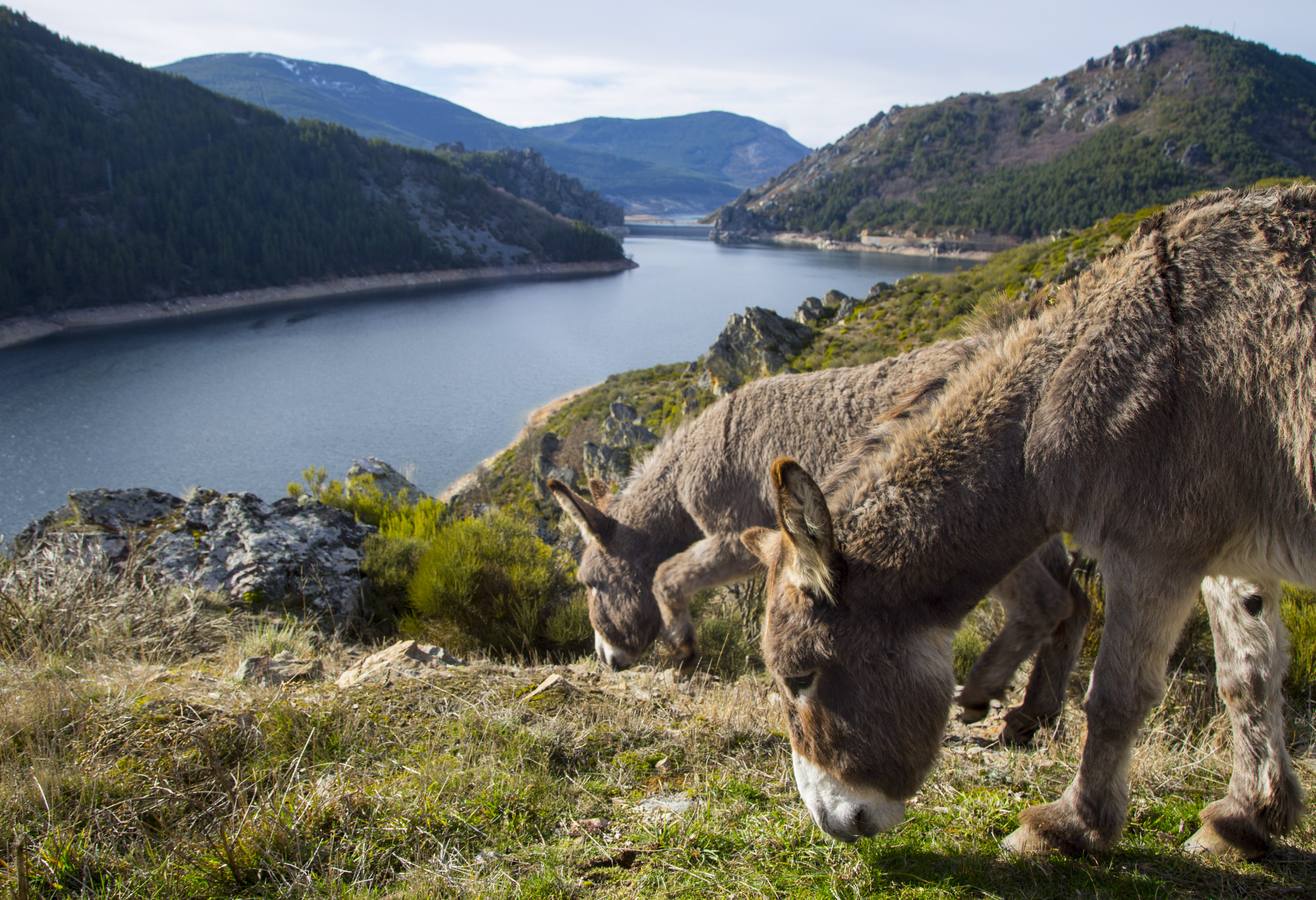 Donde el hombre y la Naturaleza conviven en armonía, en un paisaje modelado por el agua