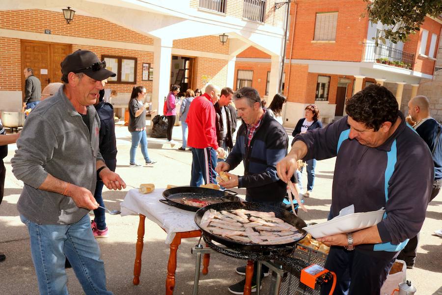 Fotos: Fiesta de la Matanza en Castrillo de Don Juan