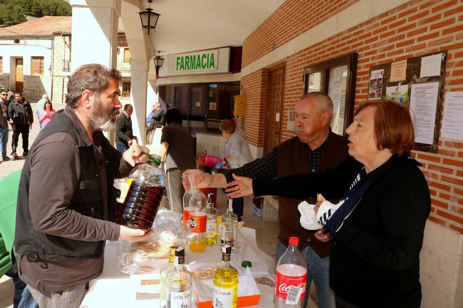 Fotos: Fiesta de la Matanza en Castrillo de Don Juan