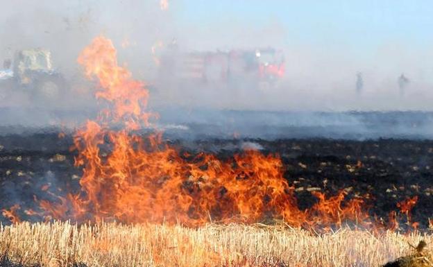 La Junta suspende la quema de restos vegetales en Ávila por riesgo elevado de incendios