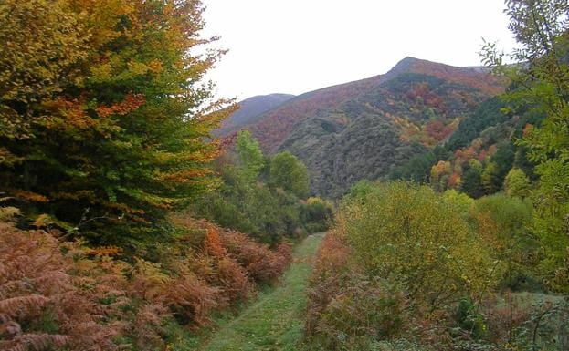 La ruta del Nacedero, en la Sierra de la Demanda de Burgos. 