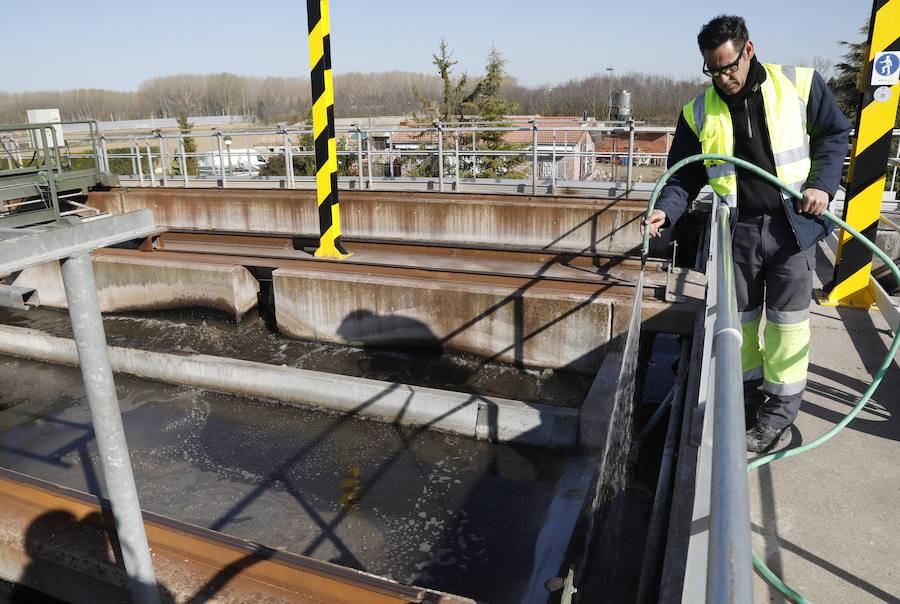Fotos: Palencia se implica en el Día Mundial del Agua