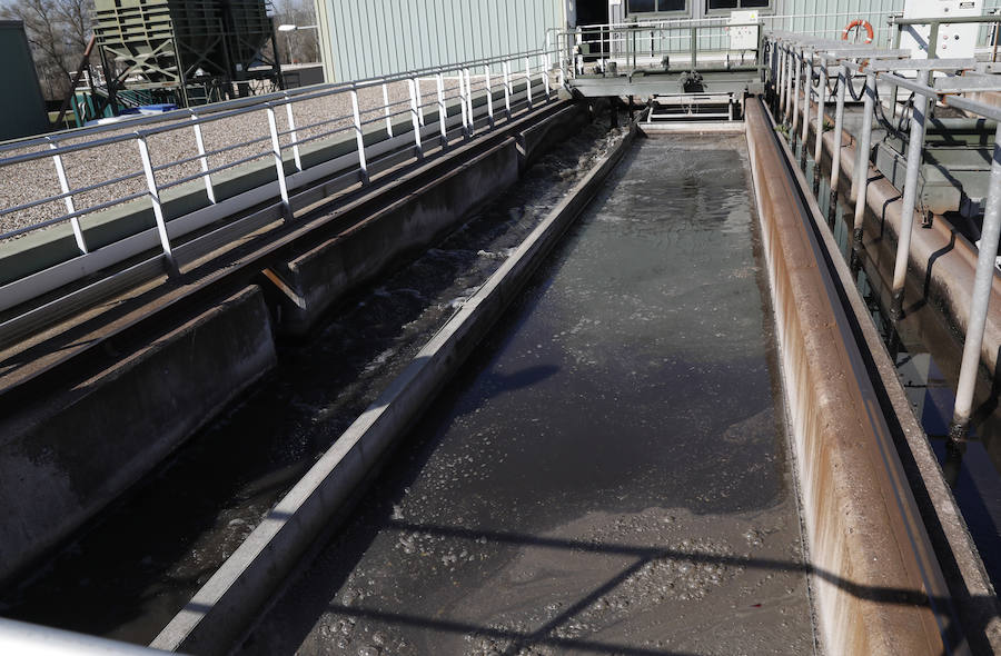Fotos: Palencia se implica en el Día Mundial del Agua