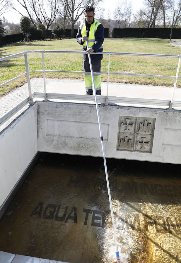 Fotos: Palencia se implica en el Día Mundial del Agua