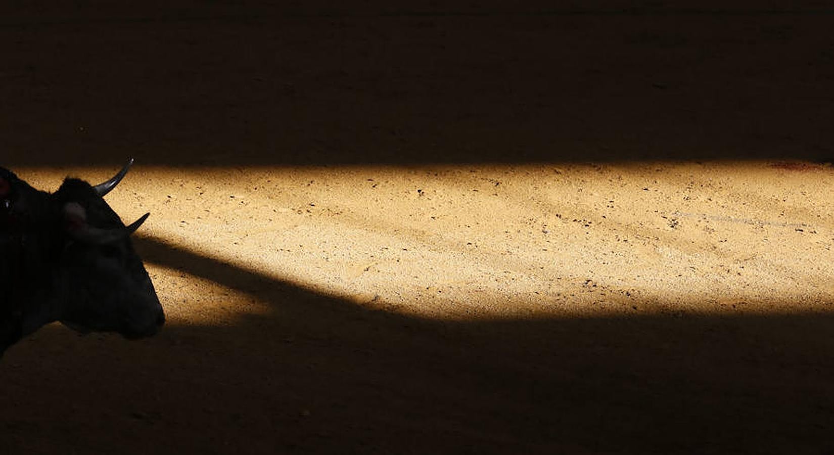 Corrida toros en la plaza vallisoletana de La Flecha (Arroyo de la Encomienda).