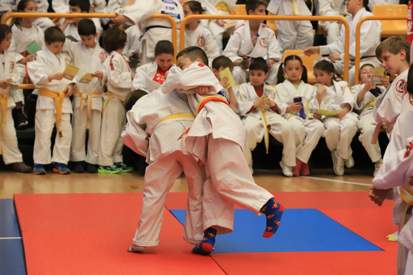 VI Torneo Doryoku de judo en Salamanca