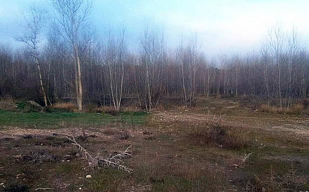 Terrenos donde estaba proyectada la planta. 