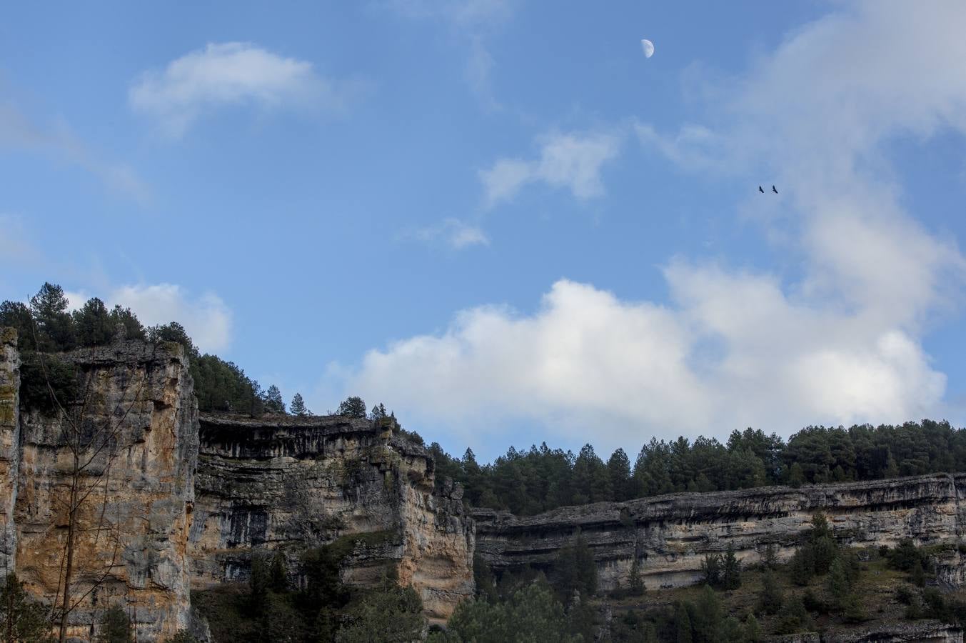 El sabor puro de Soria en un parque natural donde el agua y el viento han esculpido un paisaje espectacular