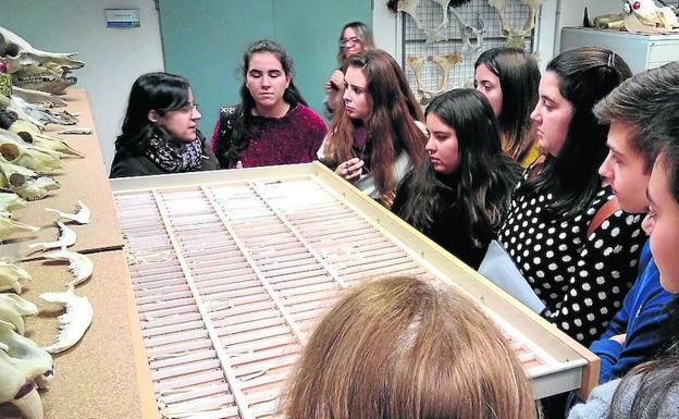 Alumnos del Alonso Berruguete, en una visita al Consejo Superior de Investigaciones Científicas. 