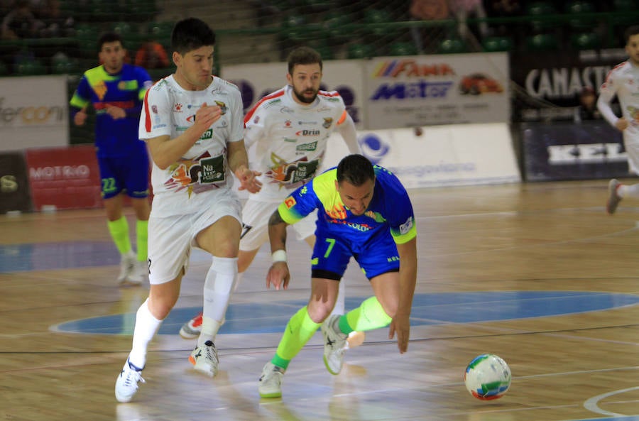 Fotos: Naturpellet Segovia - Santa Coloma