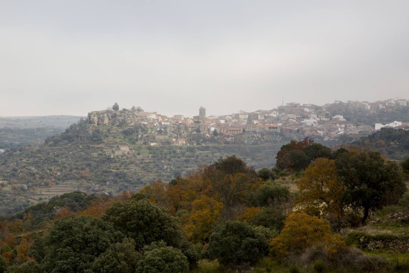 Visiones espectaculares y rincones llenos de sabor en un territorio verde, hendido por las aguas del Duero