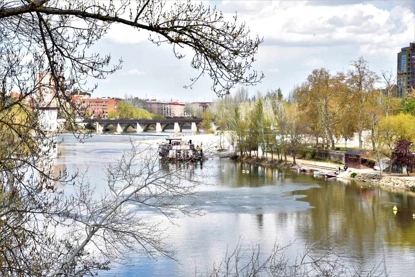 Puente de Isabel la Católica, Valladolid.,