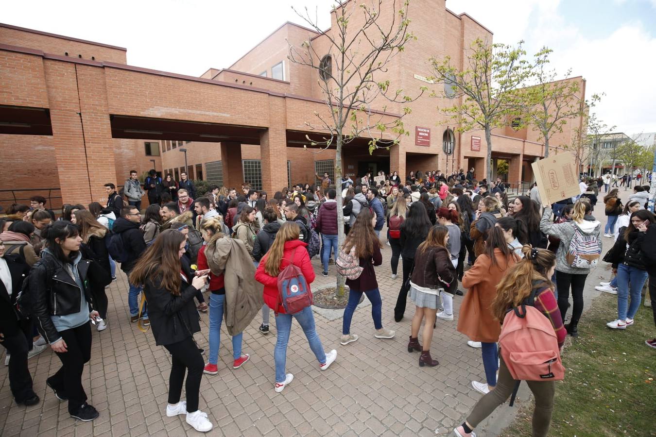 Fotos: Protesta de los estudiantes de Medicina en Salamanca