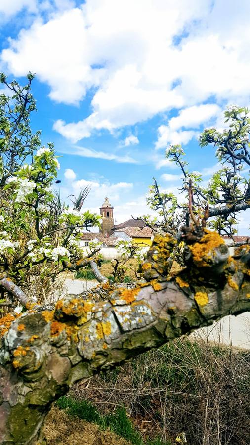 Estas son las fotos más bonitas que nos habéis enviado de la llegada de la primavera.