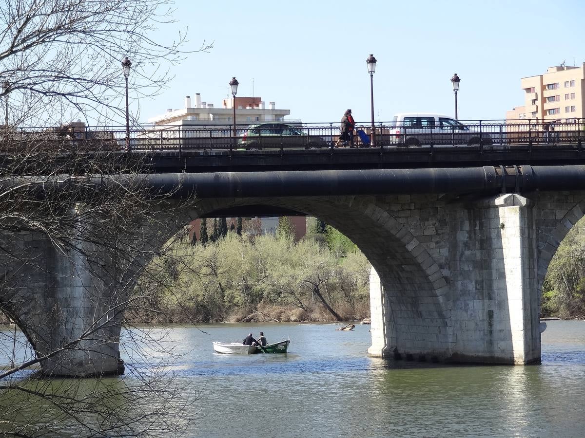 Fotos: El trabajo de los voluntarios libera de troncos los ojos del Puente Mayor de Valladolid