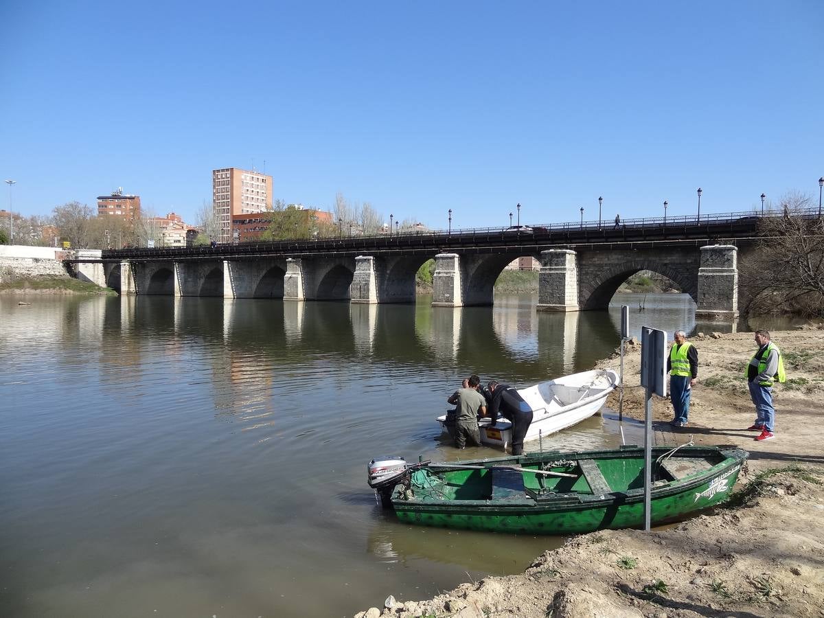 Fotos: El trabajo de los voluntarios libera de troncos los ojos del Puente Mayor de Valladolid