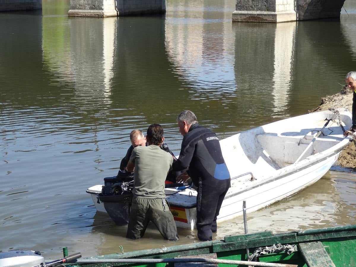 Fotos: El trabajo de los voluntarios libera de troncos los ojos del Puente Mayor de Valladolid