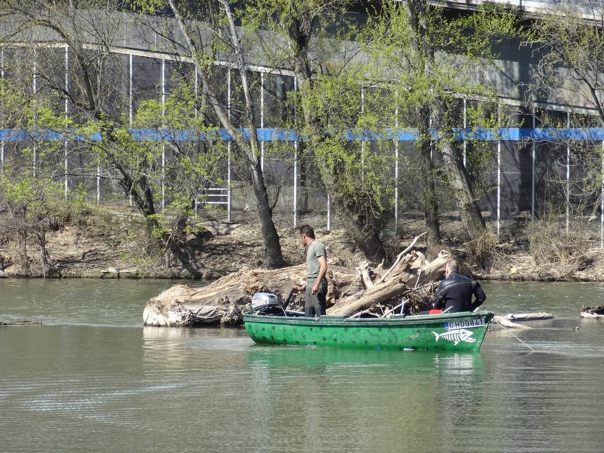 Fotos: El trabajo de los voluntarios libera de troncos los ojos del Puente Mayor de Valladolid