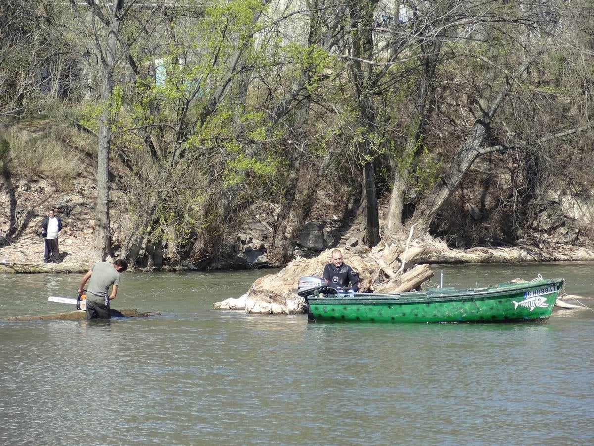 Fotos: El trabajo de los voluntarios libera de troncos los ojos del Puente Mayor de Valladolid