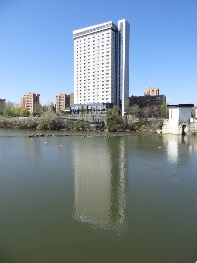 Fotos: El trabajo de los voluntarios libera de troncos los ojos del Puente Mayor de Valladolid