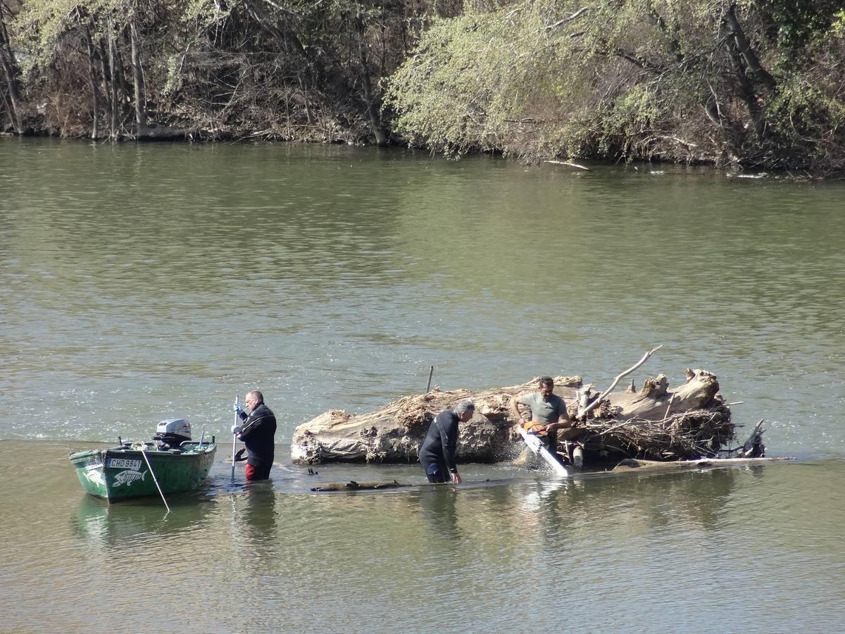 Fotos: El trabajo de los voluntarios libera de troncos los ojos del Puente Mayor de Valladolid