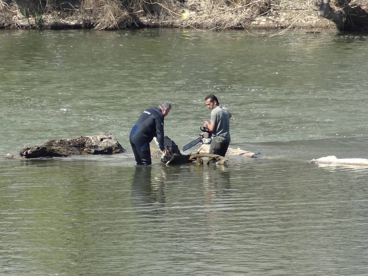 Fotos: El trabajo de los voluntarios libera de troncos los ojos del Puente Mayor de Valladolid