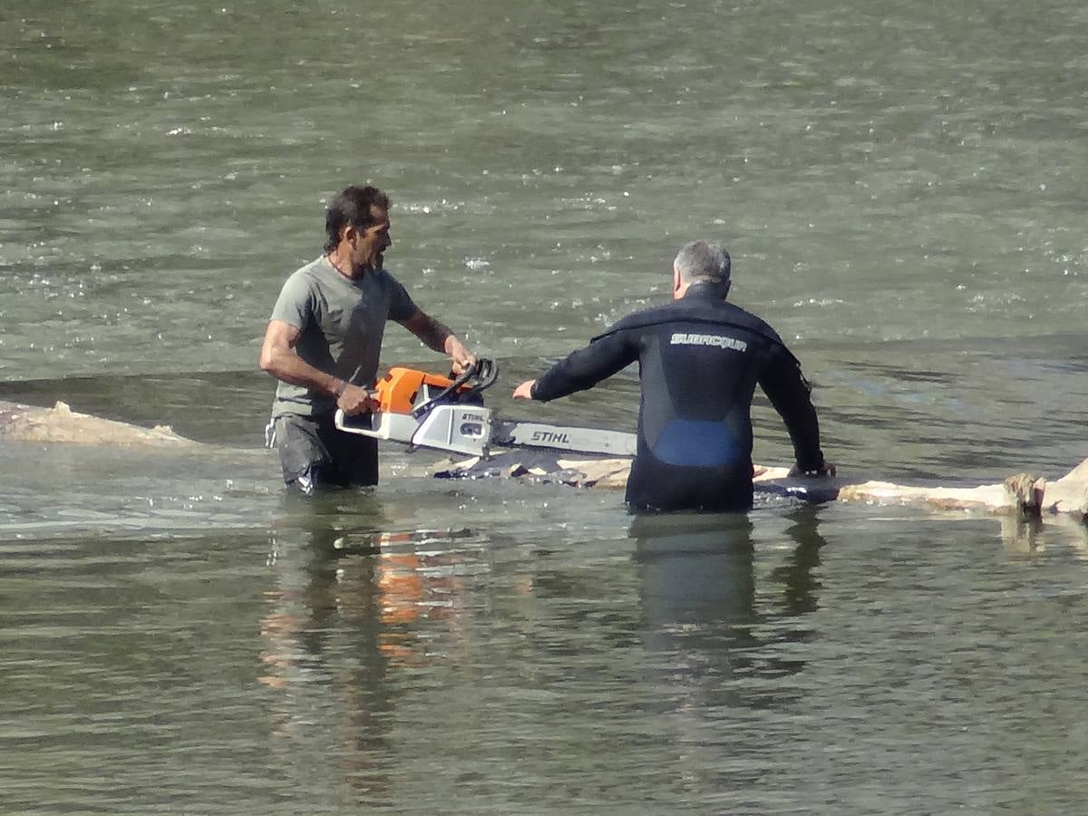 Fotos: El trabajo de los voluntarios libera de troncos los ojos del Puente Mayor de Valladolid