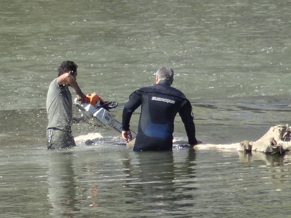 Fotos: El trabajo de los voluntarios libera de troncos los ojos del Puente Mayor de Valladolid