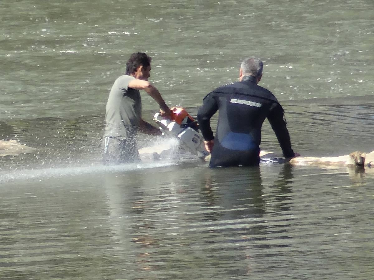 Fotos: El trabajo de los voluntarios libera de troncos los ojos del Puente Mayor de Valladolid