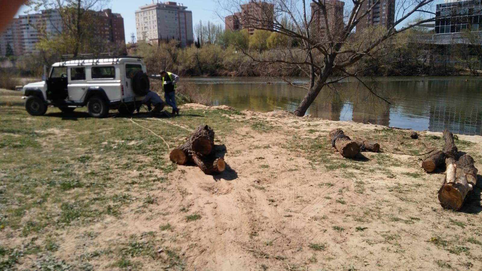 Fotos: El trabajo de los voluntarios libera de troncos los ojos del Puente Mayor de Valladolid