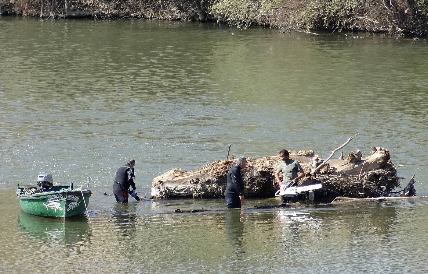 Fotos: El trabajo de los voluntarios libera de troncos los ojos del Puente Mayor de Valladolid