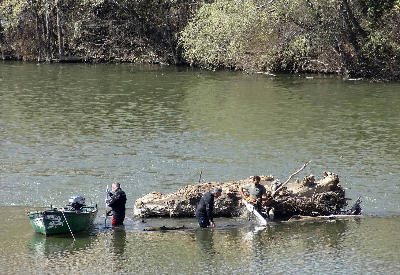 Fotos: El trabajo de los voluntarios libera de troncos los ojos del Puente Mayor de Valladolid