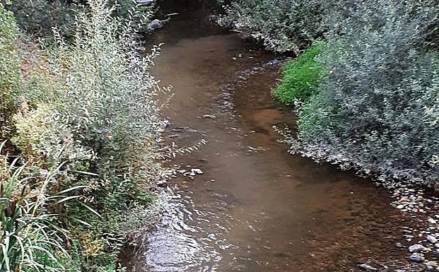 Vertidos de un colector al Eresma en la cercanía de la fábrica de borra.