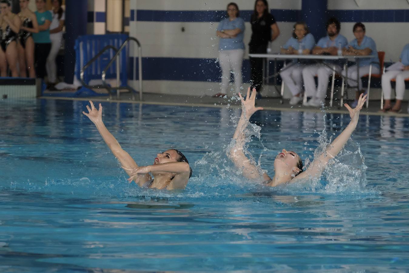 Fotos: XX Campeonato de España de Invierno de Natación Artística Junior-Senior (1/2)