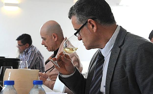 Cata a ciegas de los Premios Sarmiento 2018 para elegir los mejores verdejos de la Denominación de Origen Rueda en La Seca, Valladolid. 