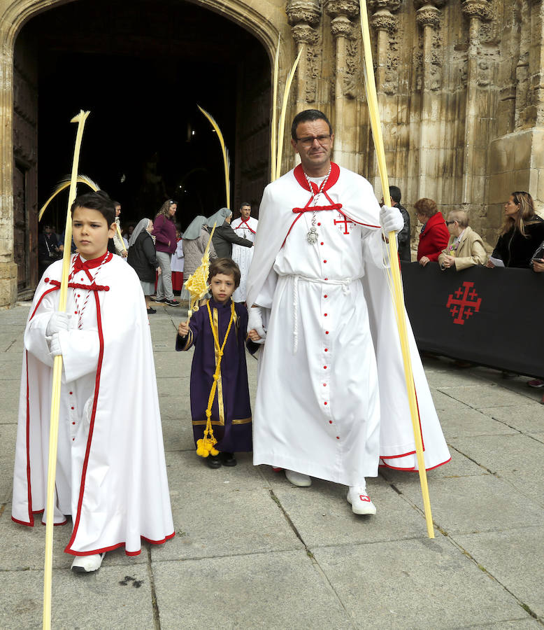 Fotos: Procesión del Domingo de Ramos en Palencia