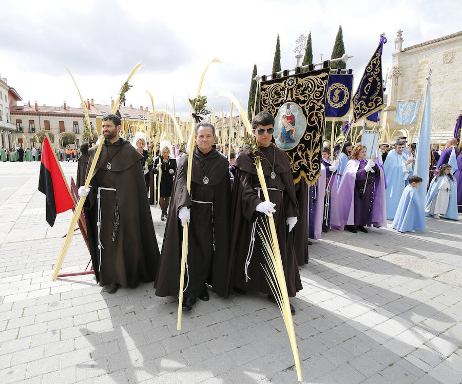 Fotos: Procesión del Domingo de Ramos en Palencia