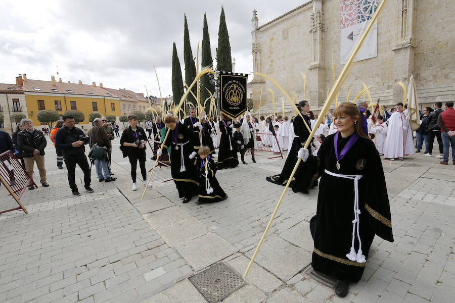 Fotos: Procesión del Domingo de Ramos en Palencia