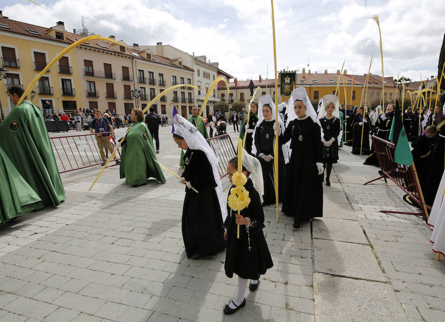 Fotos: Procesión del Domingo de Ramos en Palencia