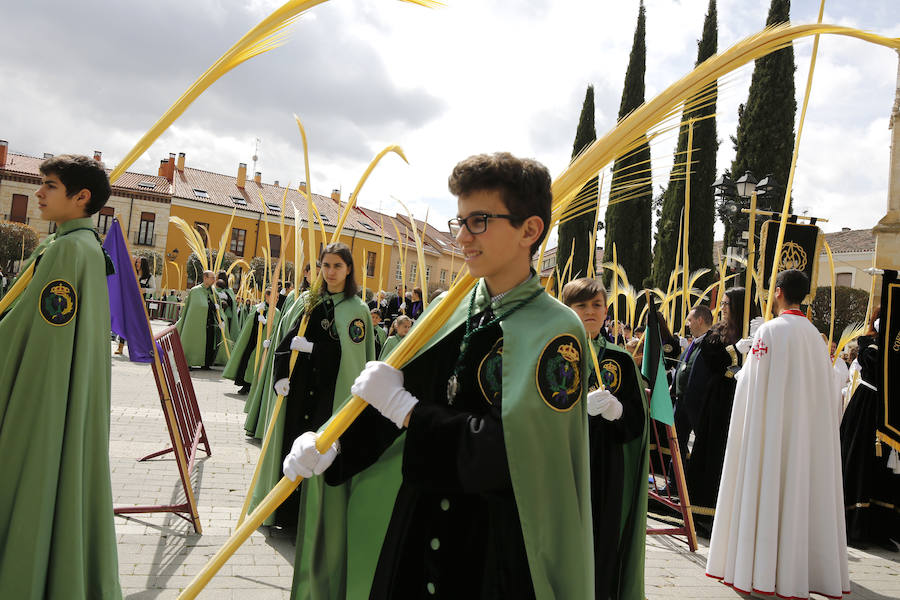 Fotos: Procesión del Domingo de Ramos en Palencia