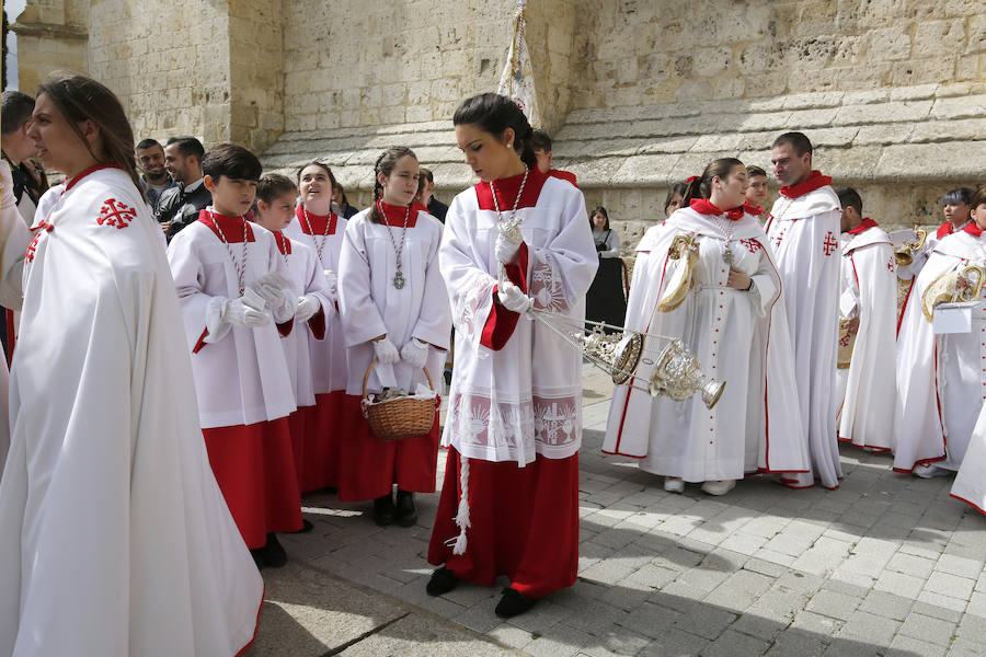 Fotos: Procesión del Domingo de Ramos en Palencia