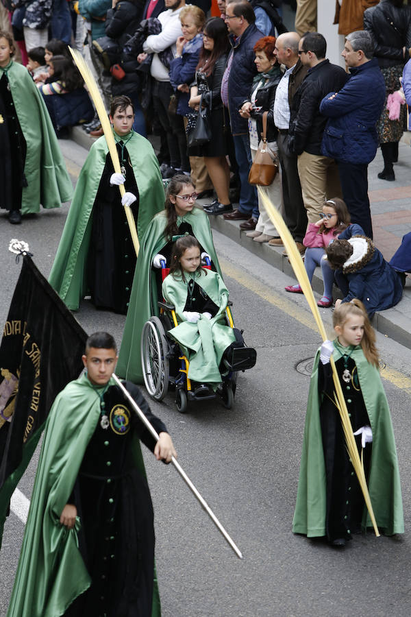 Fotos: Procesión del Domingo de Ramos en Palencia