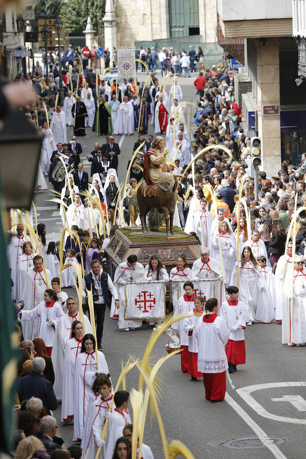 Fotos: Procesión del Domingo de Ramos en Palencia